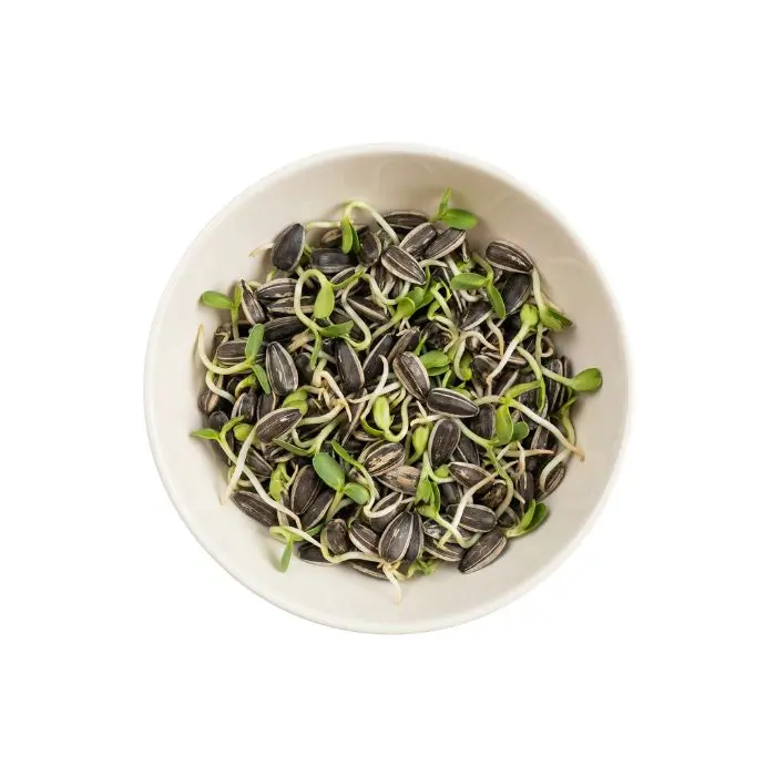 Semillas de Girasol (1 Libra)